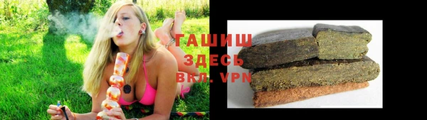 гашиш Богданович