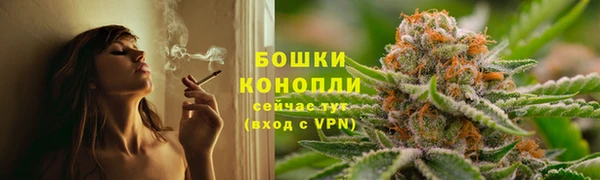 PSILOCYBIN Богородицк