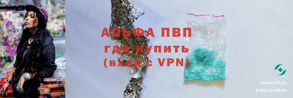 PSILOCYBIN Богородицк