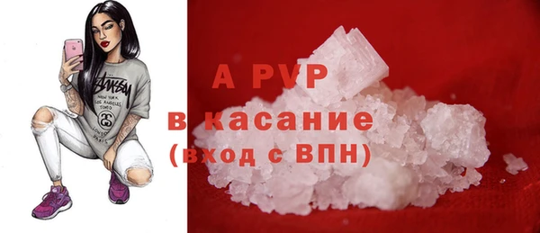 PSILOCYBIN Богородицк