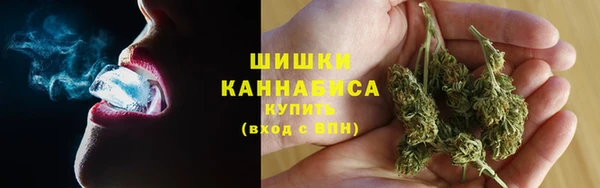 гашиш Богданович