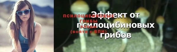 спайс Богородск