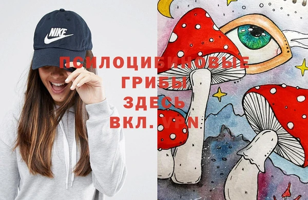 спайс Богородск