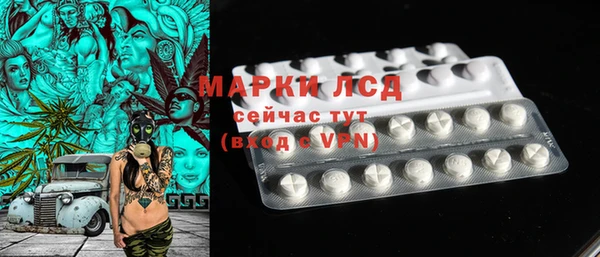PSILOCYBIN Богородицк