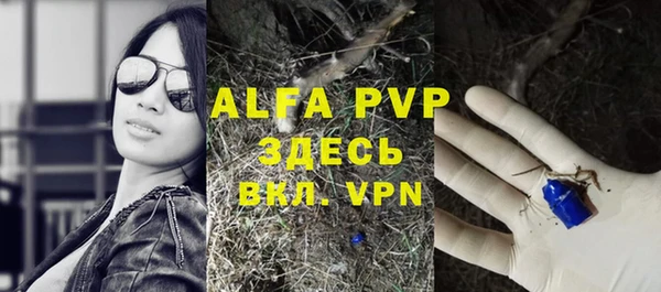 гашиш Богданович