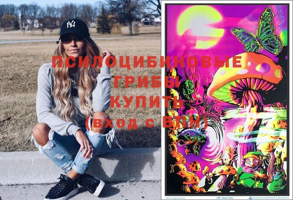 PSILOCYBIN Богородицк